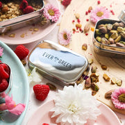 Evergreen Snacker - Snack Containers - cf-type-snack-containers, col-gifts, us-retail - Upcycle Studio