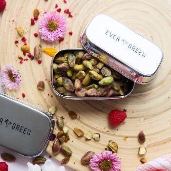 Evergreen Snacker - Snack Containers - cf-type-snack-containers, col-gifts, us-retail - Upcycle Studio